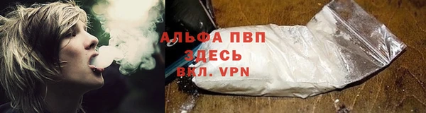 тгк Белокуриха
